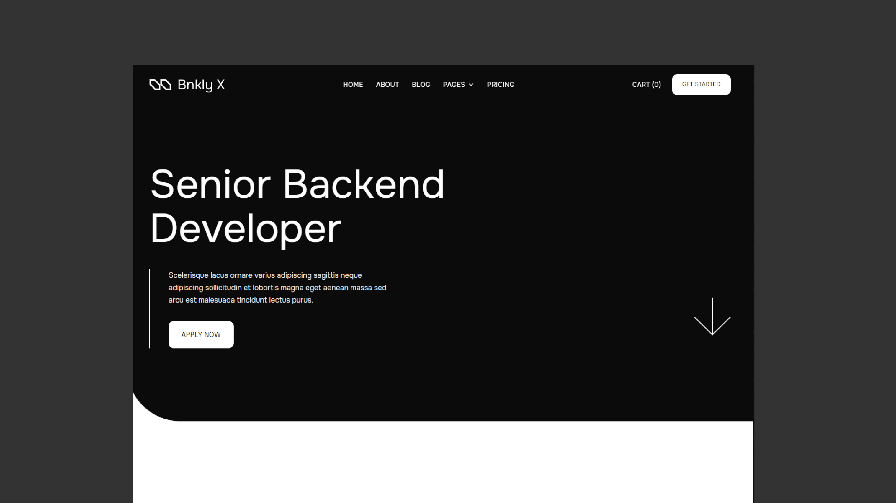 Maal Monkeys - NFT Art Collection